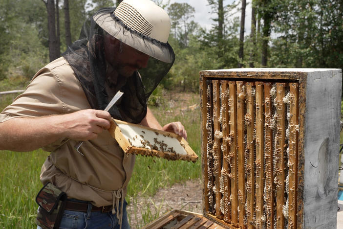 Ben Bruce works with a beehive