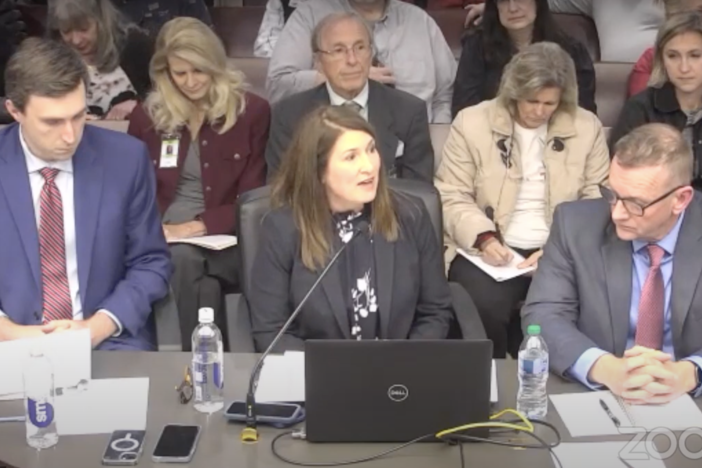 Representatives from the Georgia Secretary of State's office and Dominion Voting Systems appear before a Georgia Senate committee to answer questions about an election system software update.