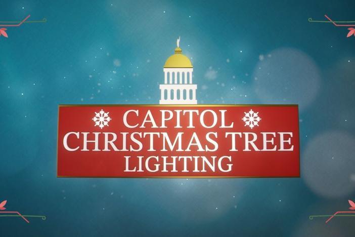 2023 Capitol Christmas Tree Lighting