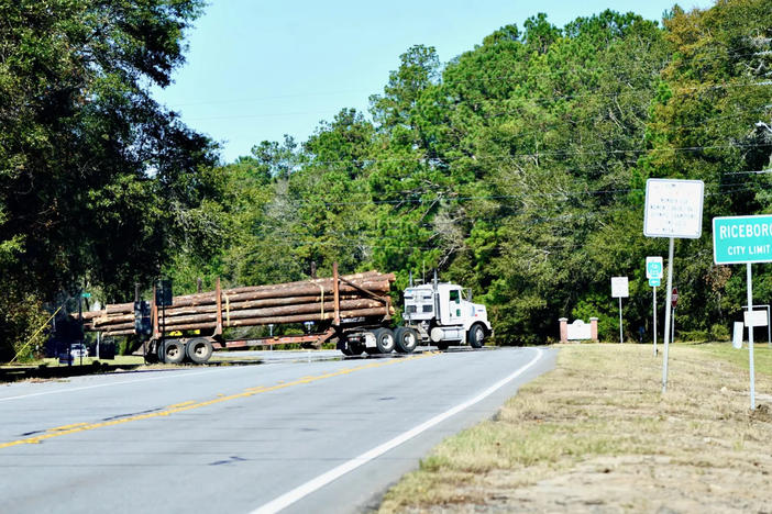 A logging truck rolls out with a fill load on the outskirts of Riceboro, GA. 