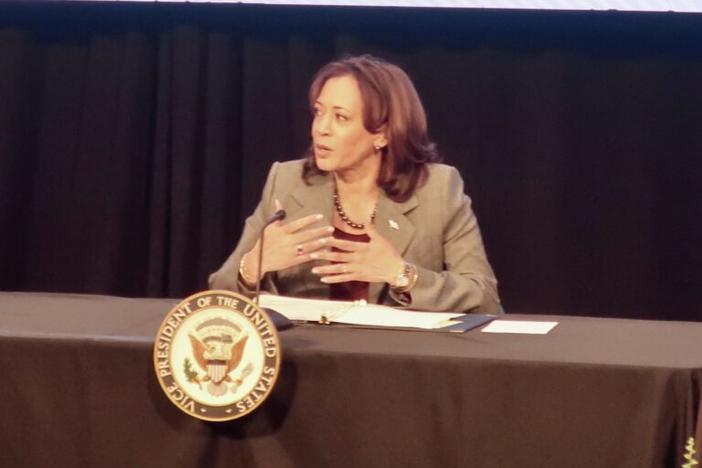 Vice President Kamala Harris rallied voting rights advocates to expand access to the ballot box in Georgia during a roundtable discussion in Atlanta on Jan. 9.