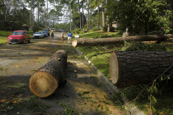 hurricane damage