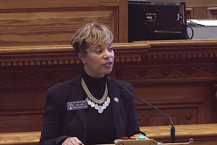 Georgia state Sen. Sonya Halpern (D-Atlanta) speaks about HB 30 on Jan. 25, 2024.