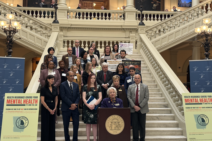 State House Rep. Mary Margaret Oliver (D–Decatur) speaks at an event on Georgia's first Mental Health Parity Day at the Georgia Capitol on Feb. 8, 2024. 