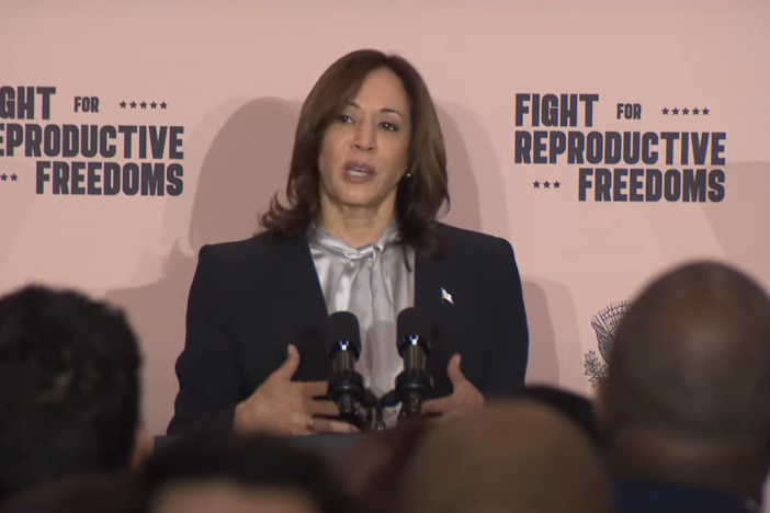 Vice President Kamala Harris speaks at the Savannah Civic Center on Tuesday, Feb. 6.