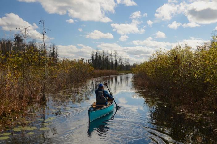 Okefenokee Swamp