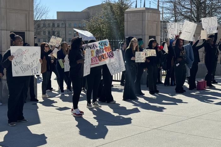 Cosmetologists demonstrated at the state Capitol in February 2024 in protest of a bill that would do away with the state some licensing requirements.