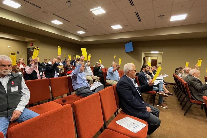 Delgates vote by holding up yellow cards in the audience at the Dawson County government building March 21, 2024.