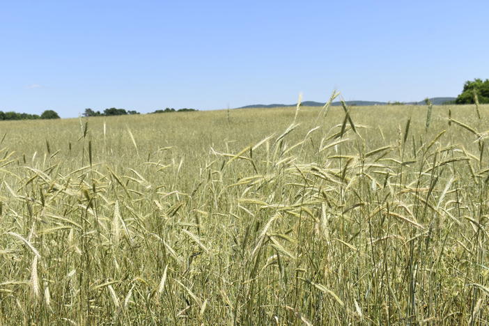 Businesses and people from countries deemed enemies of the U.S. could have a harder time buying farmland under a proposed law.