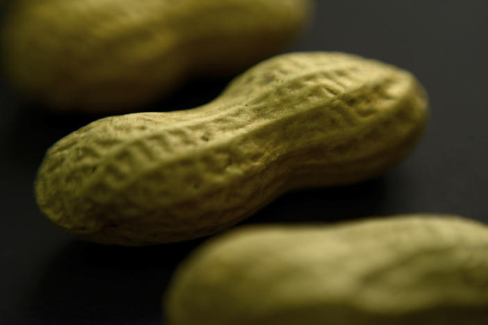 A close up photo of a peanut
