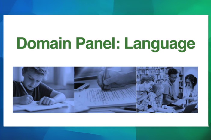 language panel