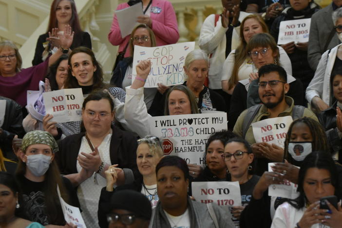  A pro-trans crowd gathers at the Georgia Capitol ahead of a Senate vote on an anti-trans bill. Ross Williams/Georgia Recorder