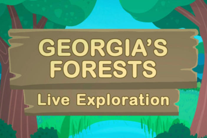 Georgia's Forests Live Exploration 