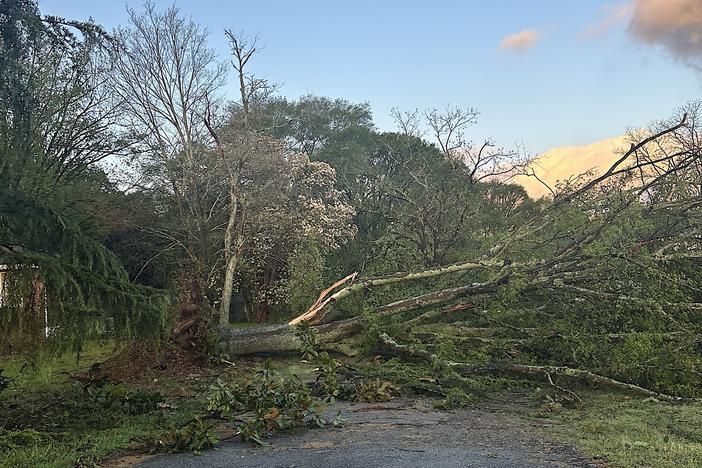 A downed tree blocks a road in Conyers, Ga., on April 3, 2024 after a possible tornado moved through during the overnight hours.