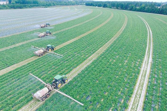 Tractors at Lewis Taylor Farms
