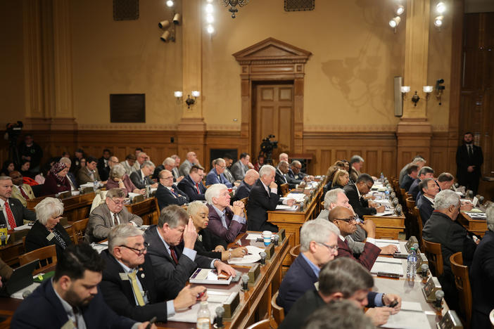The Georgia House of Representatives is shown in session on Tuesday, January 16, 2024.