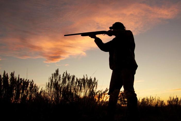 Person hunting in a Capitol Beat photo.