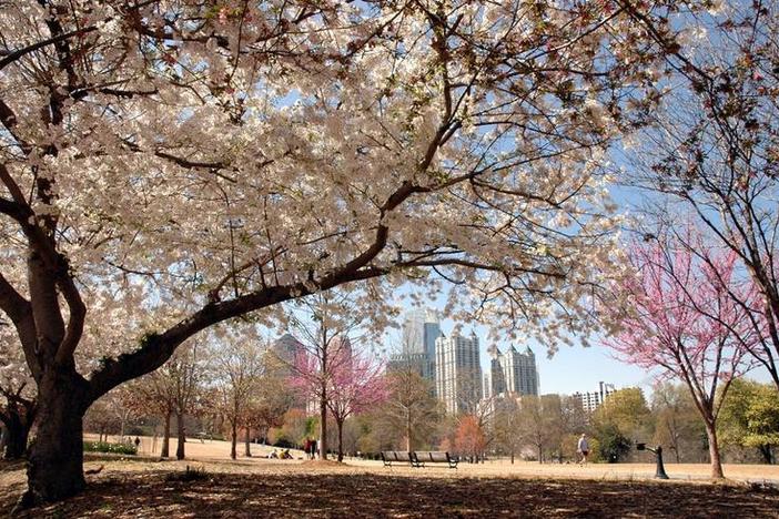 Piedmont Park
