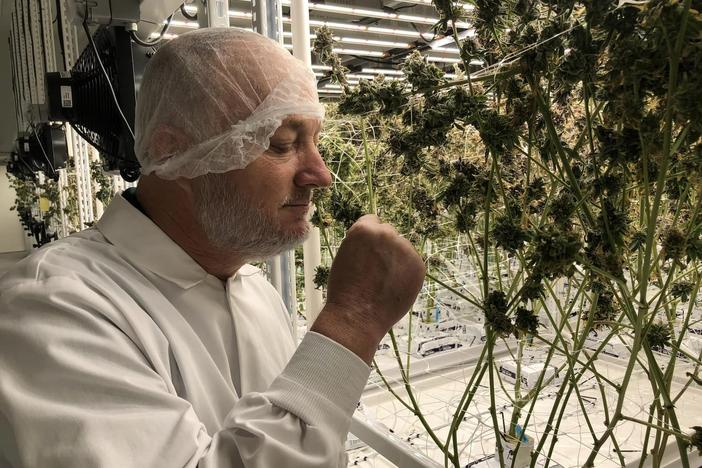 Fine Fettle is one of only six businesses licensed by the state of Georgia to cultivate, manufacture, and dispense medical cannabis, with dispensaries across the state and an118,000 square-foot cultivation, processing, and manufacturing facility in Macon-Bibb County. Macon Mayor Lester Miller visited the facility on May 29, 2024.