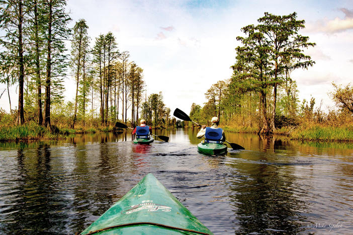 Okefenokee kayaking picture.