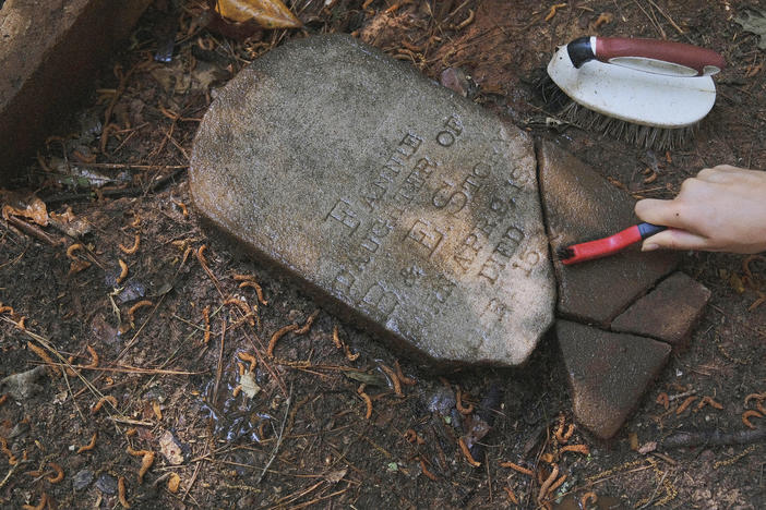 Maya Peters-Greno uses a small brush to clean the grime away from a recently recovered headstone in the Penfield African American Cemetery in Greene County. 