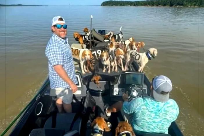 Fisherman Brad Carlisle and fishing guide Jordan Chrestman bring boatloads of dogs back to shore after they were found struggling to stay above water far out in Mississippi's Grenada Lake.
