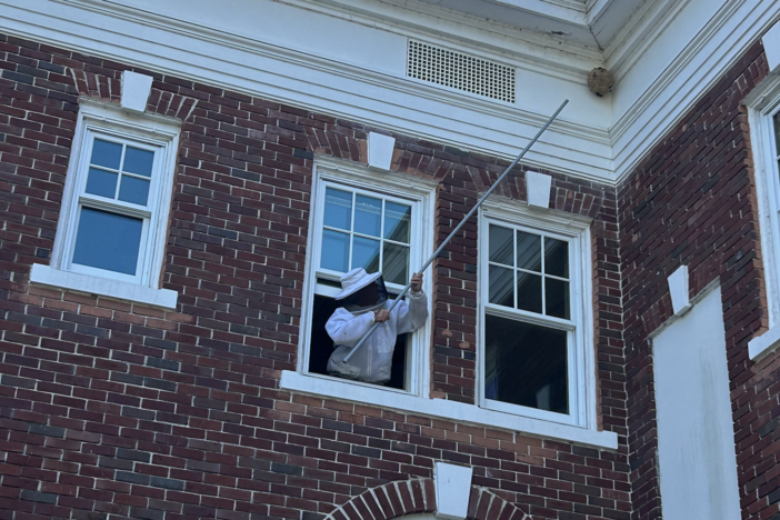 A man pokes at a beehive in the corner of a building with a stick.