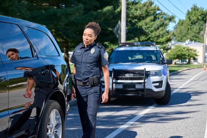 Police pulling over driver. (Georgia Governor's Office of Highway Safety/Facebook)