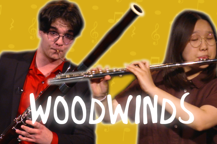 Woodwinds Instrument Quest K 5 Georgia Public Broadcasting