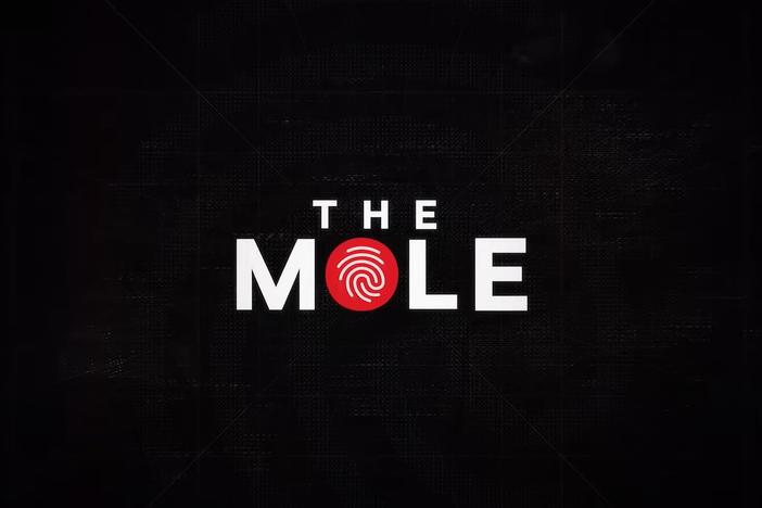Ari Shapiro hosts season 2 of The Mole on Netflix