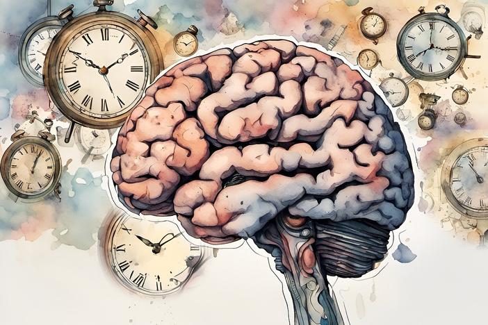 An image of a brain and clocks