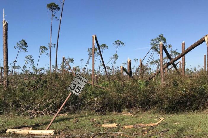 Georgia Public Service Commissioner Jason Shaw has said he embraced biomass energy after the South Georgia resident witnessed the large number of fallen trees and debris in the aftermath of Hurricane Michael in 2019. File photo