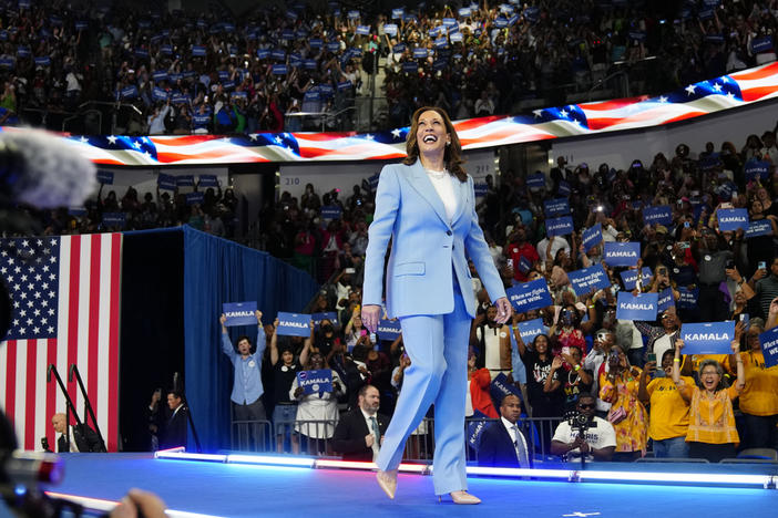 Vice President Kamala Harris admires the crowd during a campaign rally, Tuesday, July 30, 2024, in Atlanta. 
