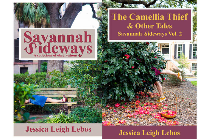 Jessica Leigh Lebos books