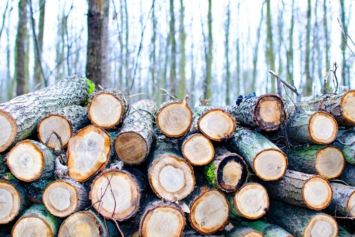 Brown Chop Logs on Outdoor. (Pexels)