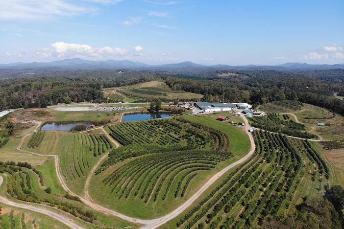 Ariel View of Mercier Orchards