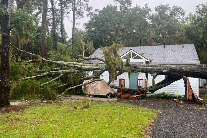 fallen tree on or near home