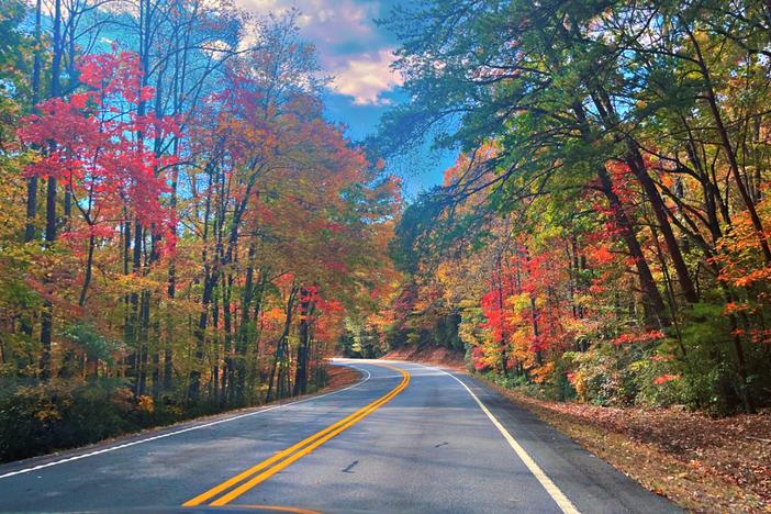 A road is shown with trees in full fall colors on both sides.