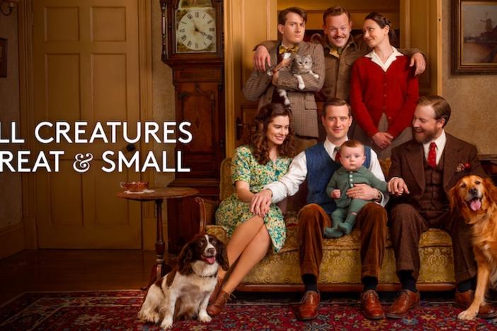 3 People standing behind a couch with 3 people sitting on the couch with a baby on the middle person's lap. Two cute dogs flank the people on the couch.