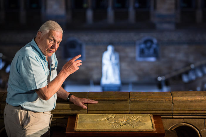 Sir David Attenborough