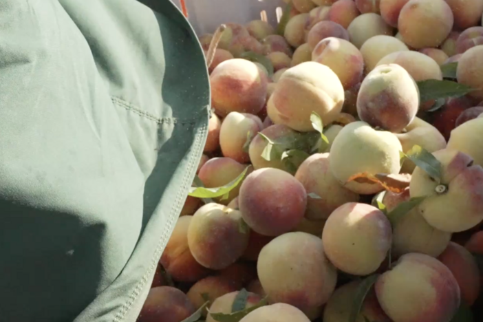 Peaches