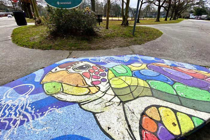 A storm drain mural at Hull Park in Savannah was painted as part of a public art program funded by the city in 2022.