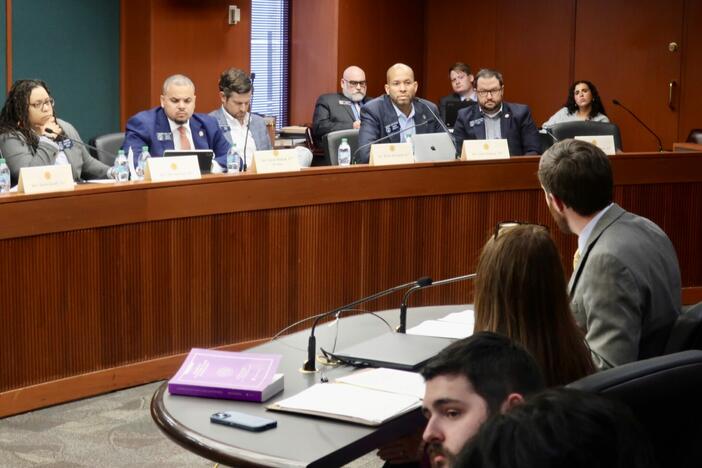 Charlene McGowan, general counsel for the Georgia Secretary of State, and State Election Director Blake Evans urged Senate Ethics Committee members Wednesday to not ditch the current voter registration sharing database. Stanley Dunlap/Georgia Recorder