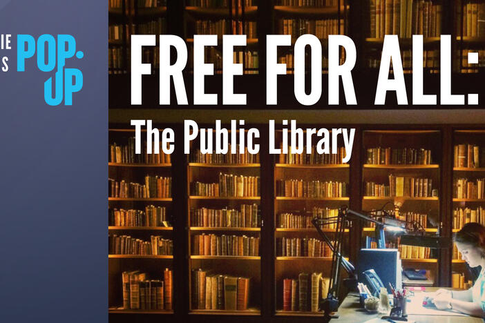 This is the key art for Free for All: The Public Library. It shows a woman reading or doing research in a library at night.