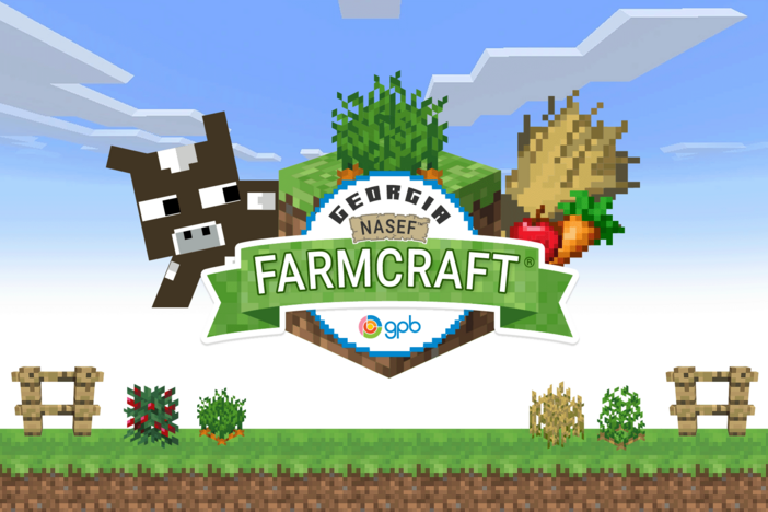Georgia NASEF Farmcraft 2025 Awards