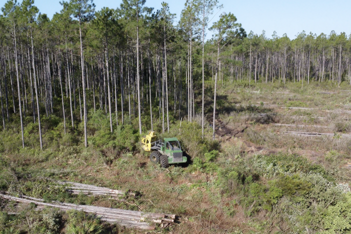 Langdale Forest Products