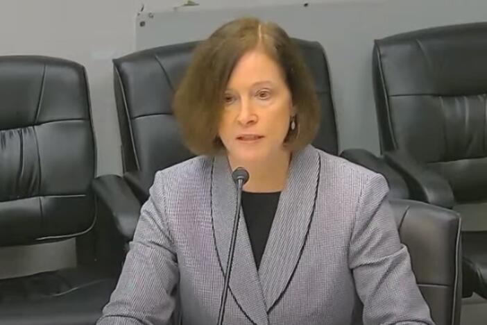 Patty Durand testifies at the PSC. Credit: Youtube screen shot. 