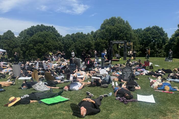 Demonstrators stage a 'die in' at Atlanta's Piedmont Park Sunday 