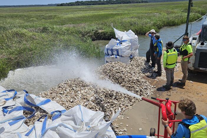 DNR crews use pressurized water to install loose shells along the banks of Teakettle Creek.