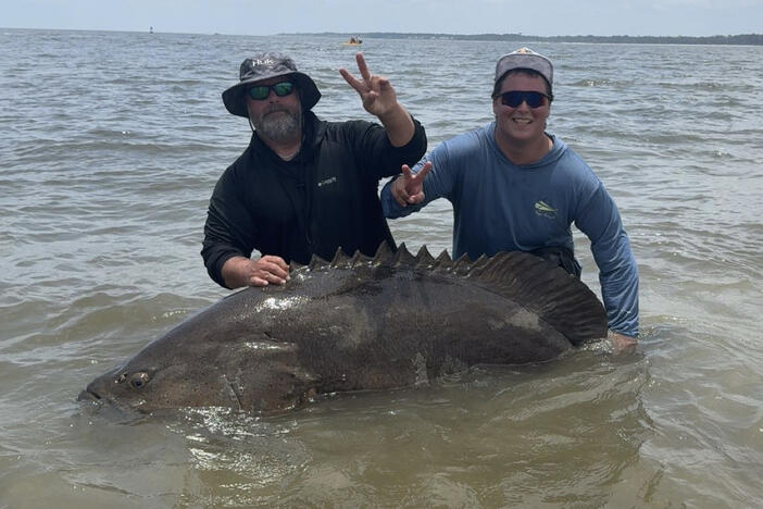 Seth Silverstein and Robert Turybury pose next to a goliath grouper that Turybury caught along the beach of St. Simons Island on June 7.